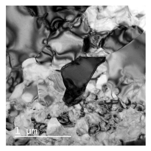 図6　テンハム隕石中の正方晶ガーネットの粒子集合体の透過電子顕微鏡（TEM）写真
