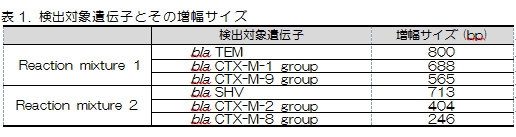 表1．検出対象遺伝子とその増幅サイズ