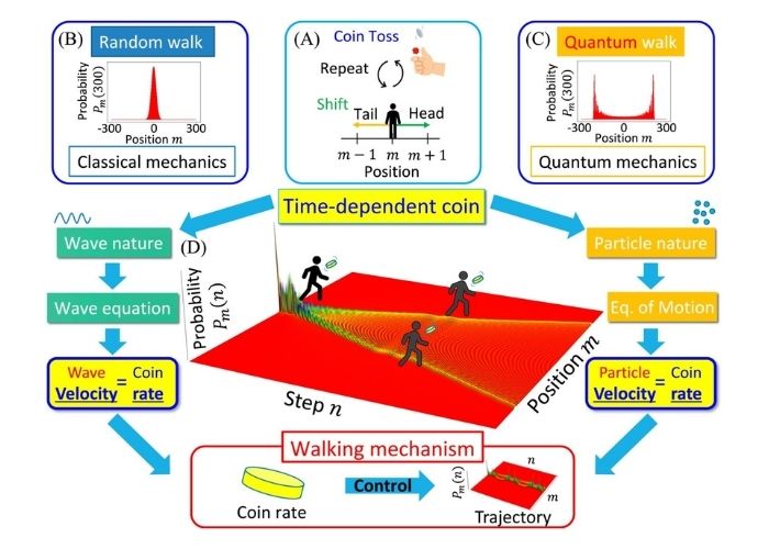 Researchers find direction decided by rate of coin flip in quantum ...