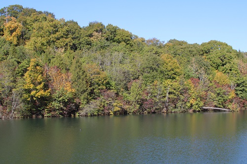 Leaves beginning to change color in the Yamanaka Pond