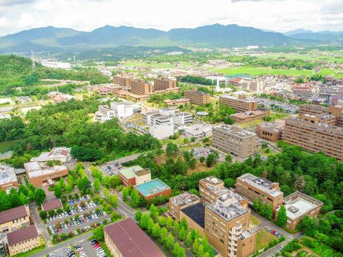 広島大学(理系) (2014年版 大学入試シリーズ)