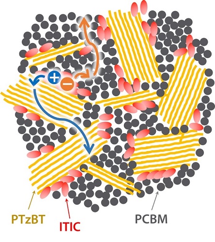Schematic illustration of the distribution of the materials in the semiconductor layer for the OPV cell. Schematic illustration of the distribution of the materials in the semiconductor layer for the OPV cell.