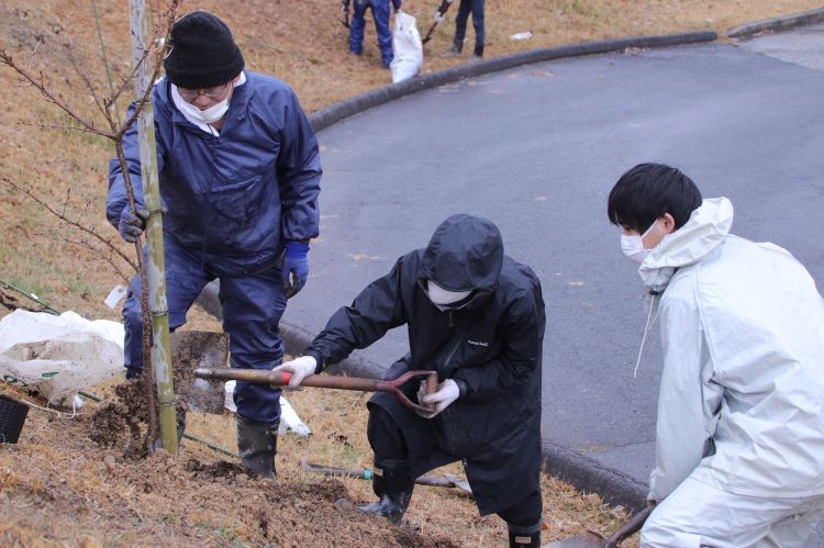 植树活动现场