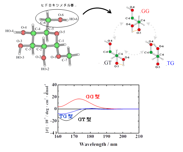 図3 メチル-α-D-グルコピラノシド(α-D-Glc)の立体配座と円二色性スペクトル