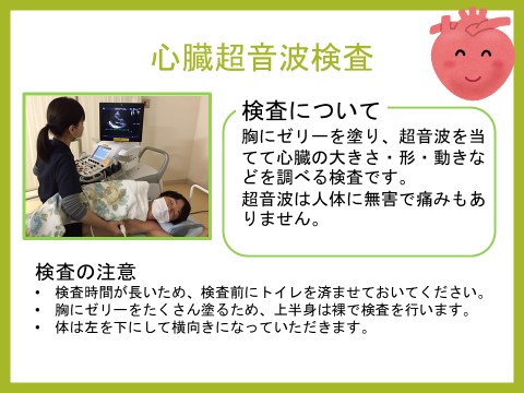 心臓超音波検査 心臓超音波検査