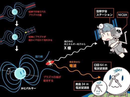 「かにパルサー」の巨大電波パルスに同期したX線増光の発見