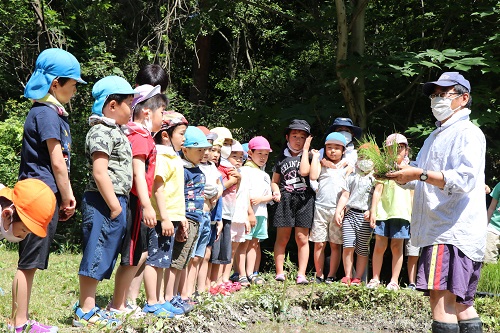 认真聆听盐路技术专家说明的幼儿园儿童