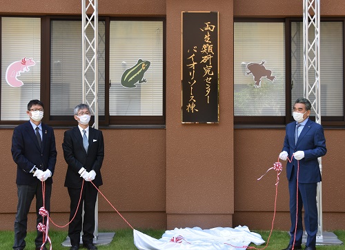 左から安倍理事・副学長、荻野両生類研究センター長、越智学長