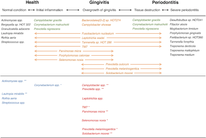 Comparison of gingival microbiome transition between health to periodontitis