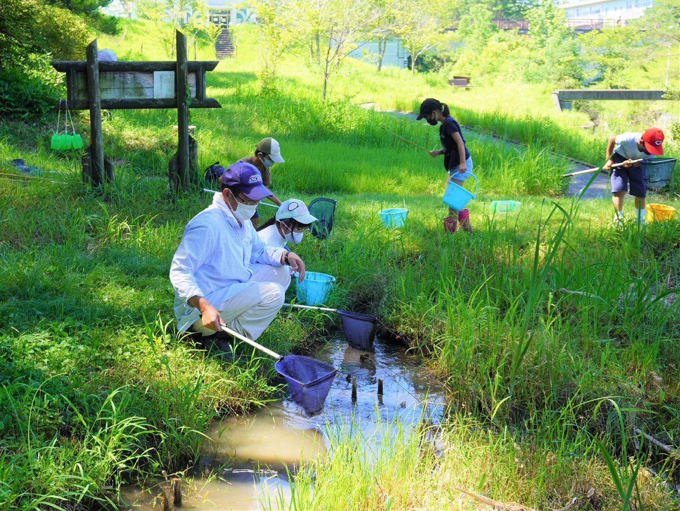 水生生物の捕獲風景