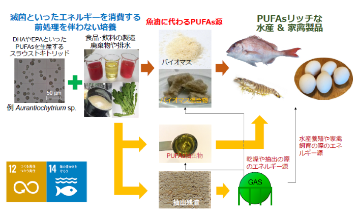 研究課題イメージ図