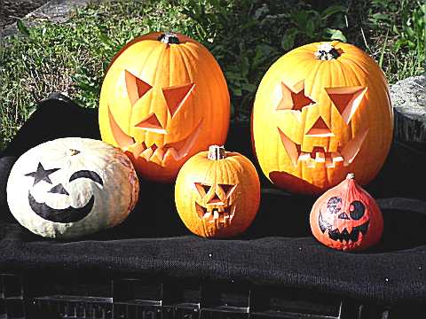 生態実験園の入り口にハロウィンの飾り「ジャック・オ・ランタン」を