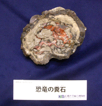 特大　化石　大型肉食恐竜の糞石　多彩　メノウ化　標本　鉱物　原石　鑑賞石　銘石 Amazon.co.jp: 2 恐竜の糞の化石 - 恐竜のうんち標本の化石,希少