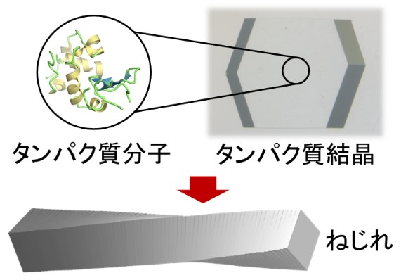 Amazon.co.jp: 凝縮系物理学 : 深尾 浩次, 田口 健: 本