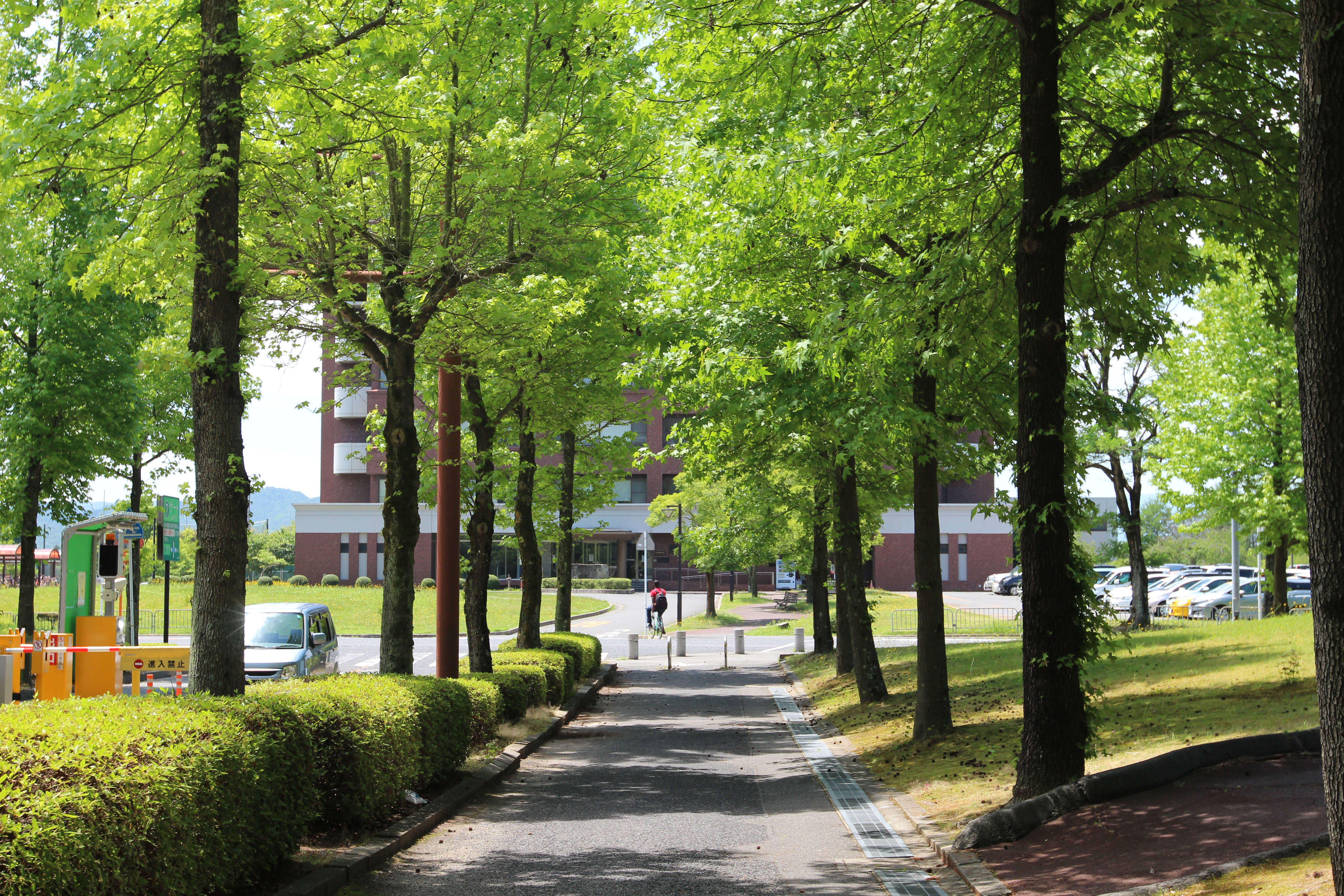 キャンパスガイド | 広島大学