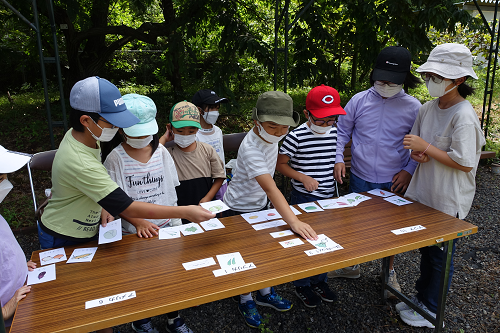 野菜の原産地を分類する子ども達