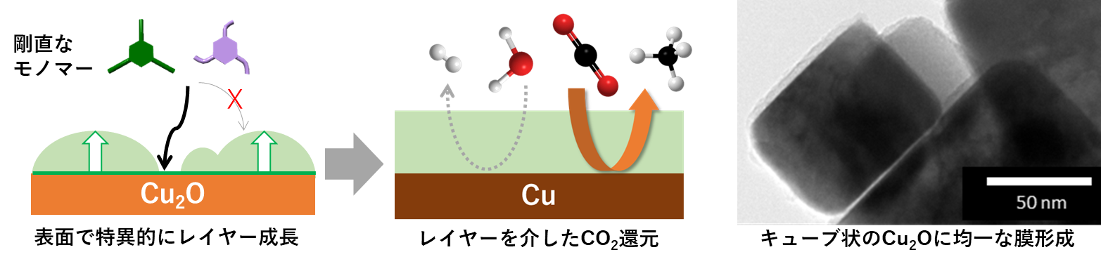 酸化銅(Cu2O)表面の活性を用いた均一な有機レイヤーによる被覆
