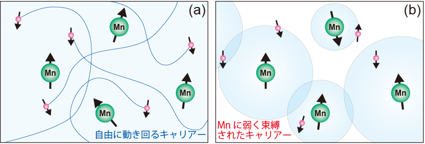 図2 Ga1-xMnxAsで提唱されている強磁性発現モデル