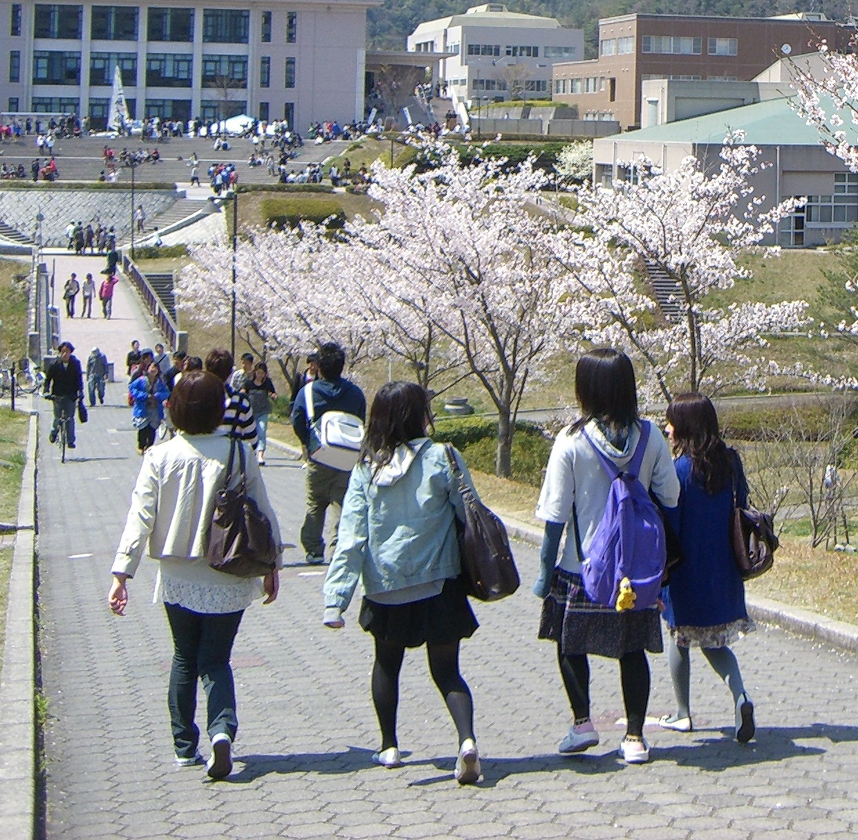 本学元留学生の外国人叙勲の受章者