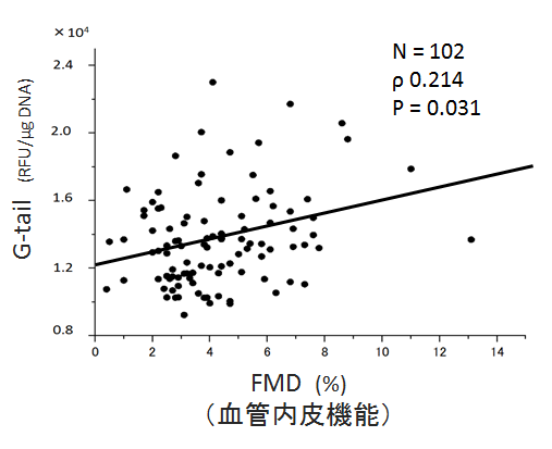 図2. 血管内皮機能とテロメアGテールの関連