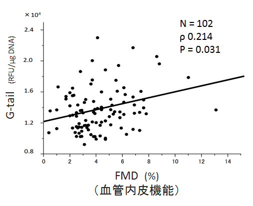 図2．　血管内皮機能とテロメアGテールの関連