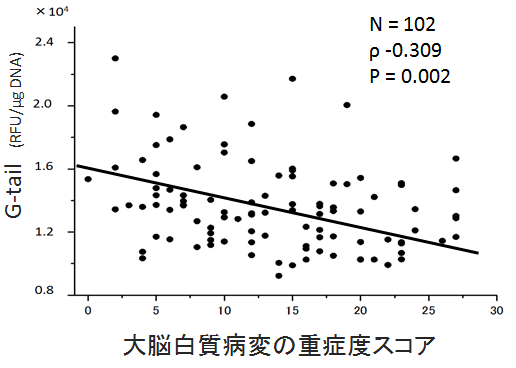 図3. 大脳白質病変とテロメアGテールの関連