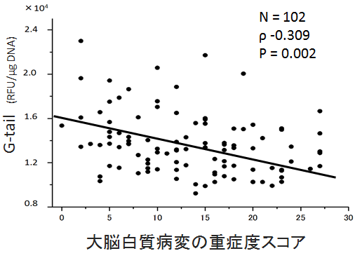 図3．　大脳白質病変とテロメアGテールの関連