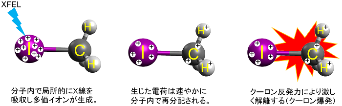 図1. 分子がＸ線を吸収して、クーロン爆発に至る概念図