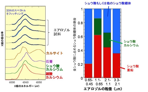 図３．カルシウムのK吸収端XAFSによるシュウ酸カルシウムの同定（左図）と全シュウ酸に占めるカルシウムおよび亜鉛錯体の割合（右図；エアロゾルの粒径に対してプロット）