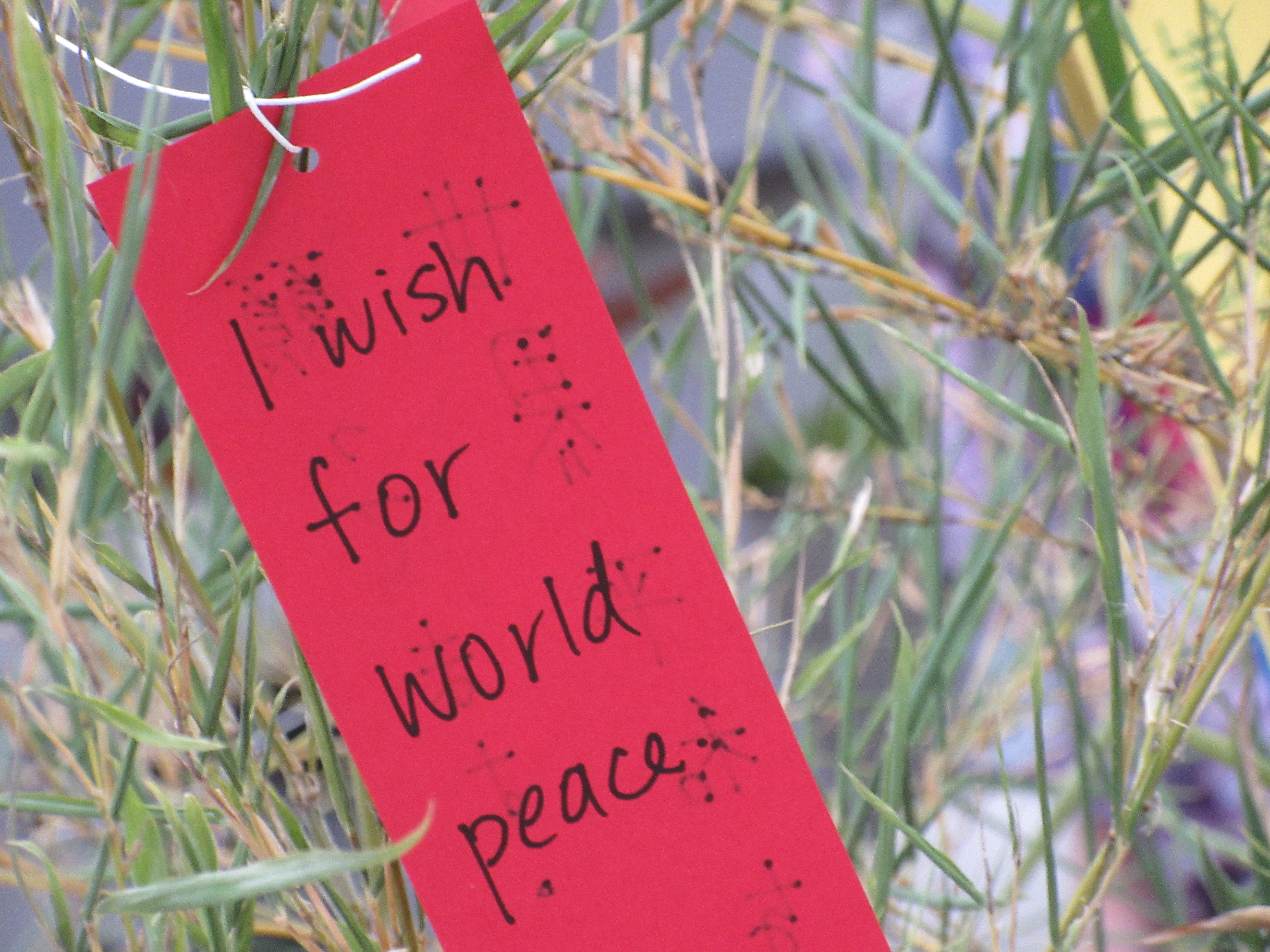 "I wish for world peace" written on paper hanging from bamboo branch.