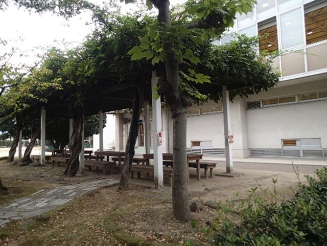 附属福山中・高等学校藤棚 附属福山中・高等学校藤棚