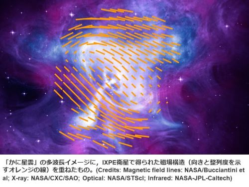 最新のX線偏光観測により「かに星雲」の磁場構造が明らかに | 広島大学