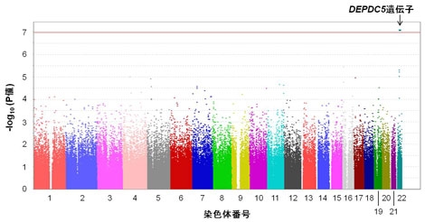 図1　C型慢性肝炎に起因する肝がんのゲノムワイド関連解析結果