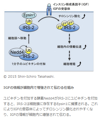 代替テキスト