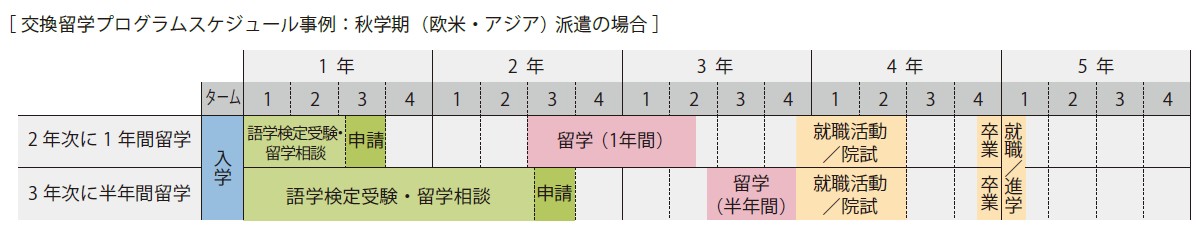 交換留学プログラムスケジュール事例