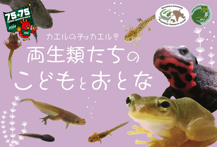 第２０回両生類研究センター企画展