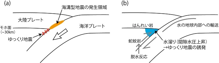 図３：ゆっくり地震の発生領域とプレート境界での水循環に関する模式図