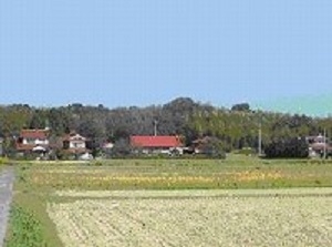 近年の里山(東広島市)の風景。手入れされず、どんどん周辺の森林に拡大する竹林