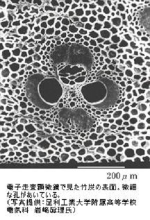 電子走査顕微鏡で見た竹炭の表面。微細な孔があいている。