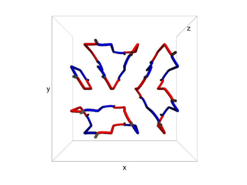 top view of a quantum vortex network
