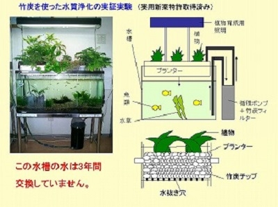 竹炭を使った水質浄化の実証実験