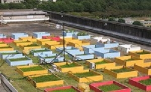 屋上実験風景(広島大学大学院生物圏科学研究科)