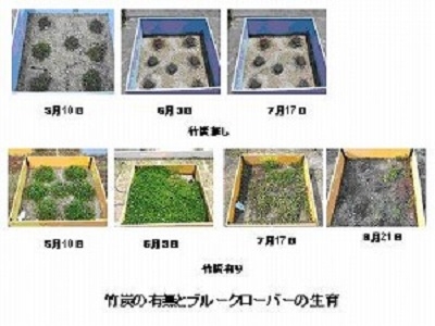 大学屋上での植物生育実験