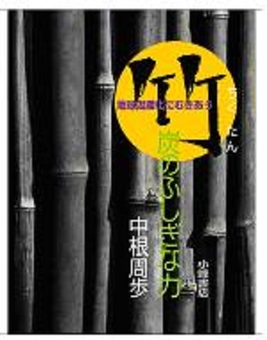 『竹炭のふしぎな力—温暖化対策の可能性をさぐる』(小峰書店)