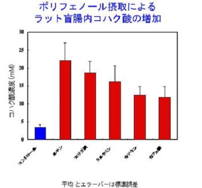 ポリフェノール摂取によるラット盲腸内コハク酸の増加の図