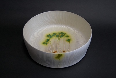 受賞作品:銀泥彩磁鉢