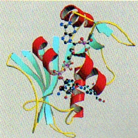 数理分子生命理学専攻の画像