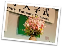 入学式写真