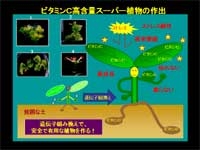 遺伝子組み換えで、安全で有用な植物を作る!