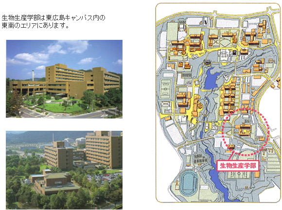 生物生産学部ツアー1 広島大学 生物生産学部ツアー1 広島大学
